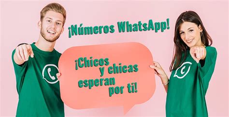 citas chicas soltera|Conocer Gente por WhatsApp y Buscar Números de。